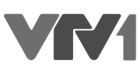 inDanang on the news VTV1