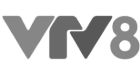 inDanang on the news VTV8